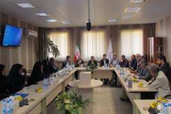 انتخابات تعیین رئیس دانشکده هنر و معماری دانشگاه برگزار شد