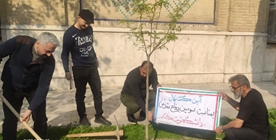 کاشت نهال امید در دانشگاه تربیت مدرس