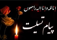 پیام تسلیت رییس دانشگاه تربیت مدرس در پی شهادت دانشجوی دکتری این دانشگاه