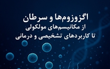 انتشار کتاب «اگزوزوم‌ها و سرطان از مکانیسم‌های مولکولی تا کاربردهای تشخیصی و درمانی»