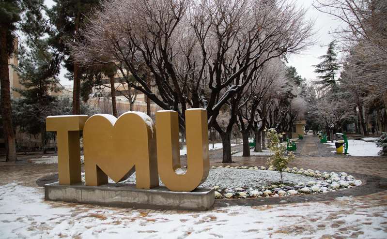 گزارش تصویری روز برفی دانشگاه